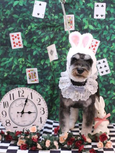 20250403門吉くん